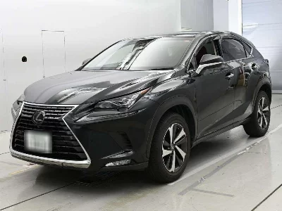 Lexus NX300