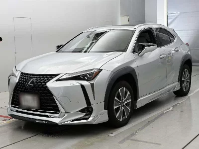 Lexus UX300e