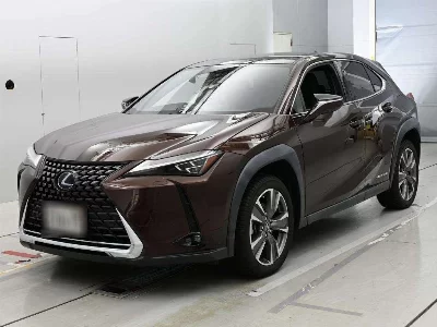 Lexus UX300e