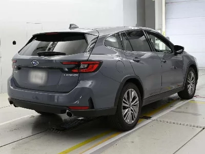 Subaru LEVORG LAYBAC