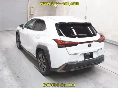 Lexus UX250h