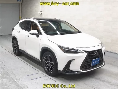 Lexus NX250