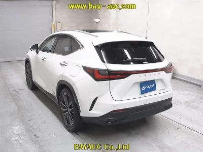 Lexus NX250
