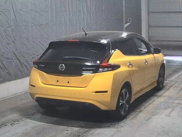 Nissan Leaf  с аукциона в Японии