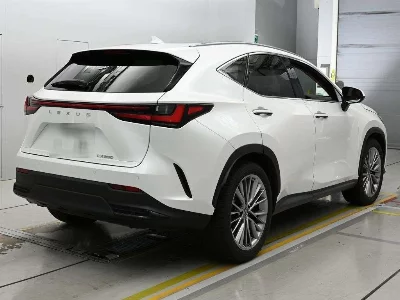 Lexus NX250