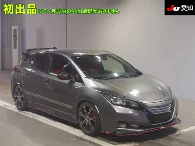 Nissan Leaf  с аукциона в Японии