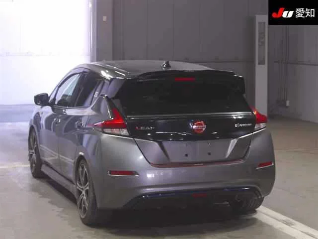 Nissan Leaf  с аукциона в Японии