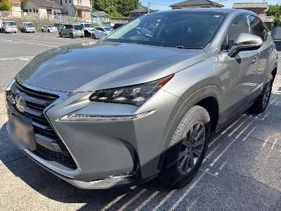 Lexus NX300h