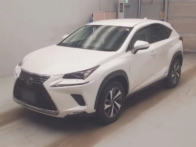 Lexus NX300h