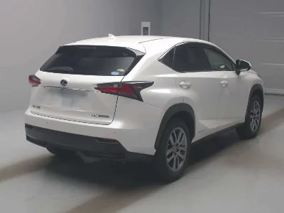 Lexus NX300h