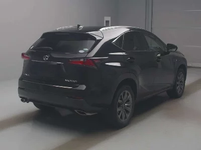 Lexus NX300
