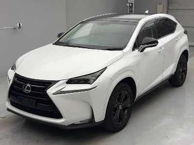 Lexus NX300