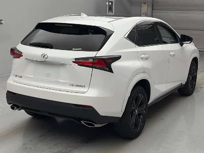 Lexus NX300