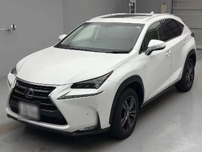 Lexus NX300h