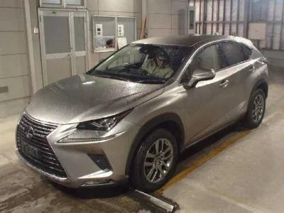 Lexus NX300h