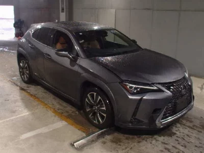 Lexus UX250h