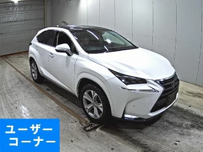 Lexus NX300h