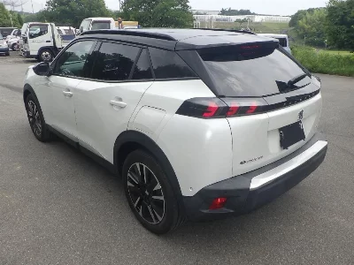 Peugeot e-2008