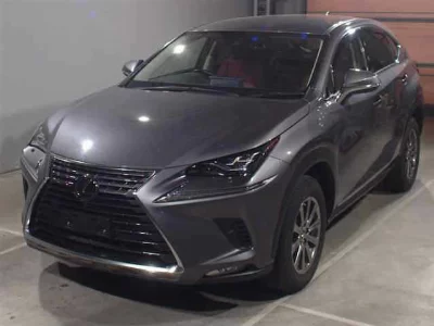 Lexus NX300