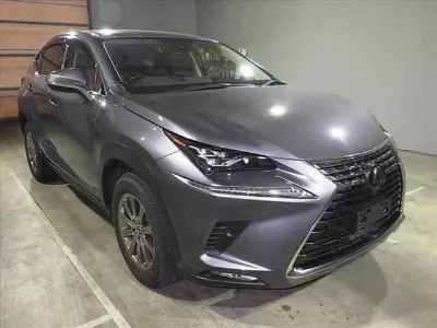 Lexus NX300