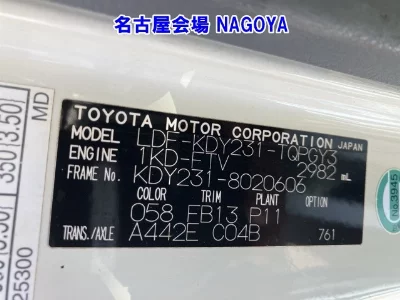 TOYOTA DYNA