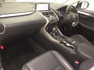 Lexus NX300