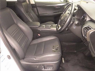 Lexus NX300