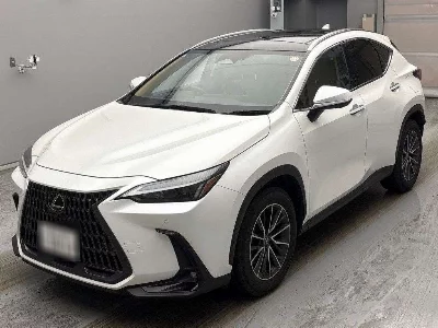 Lexus NX250