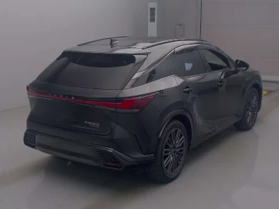Lexus RX500h