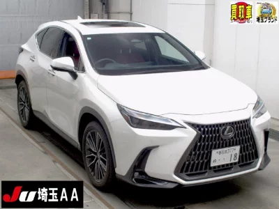 Lexus NX250