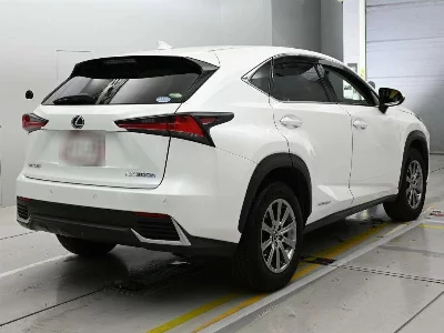 Lexus NX300h