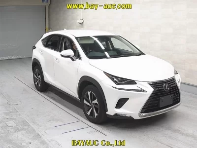 Lexus NX300