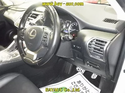 Lexus NX300