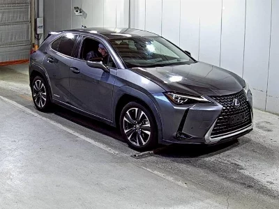 Lexus UX250h