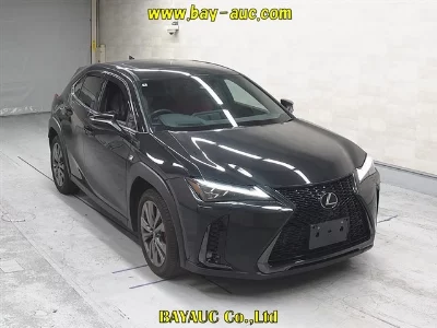 Lexus UX300h