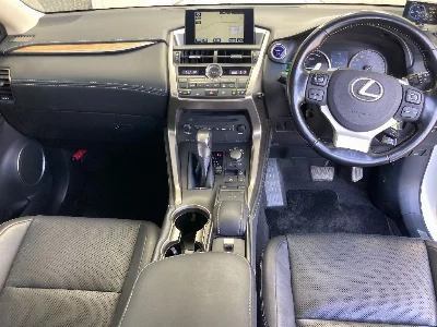 Lexus NX300h