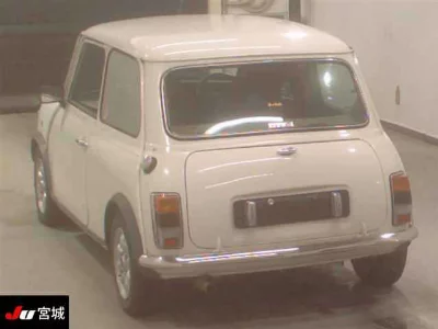 Rover MINI