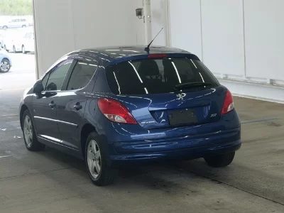 PEUGEOT 207