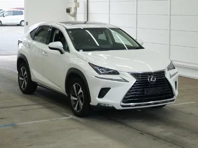 Lexus NX300