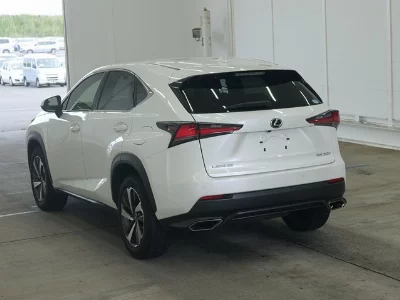 Lexus NX300
