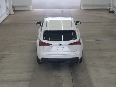 Lexus NX300