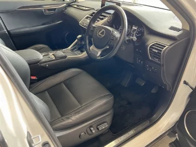 Lexus NX300