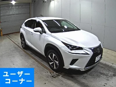Lexus NX300h