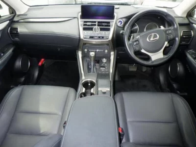 Lexus NX300h