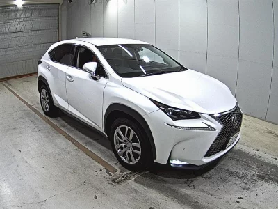 Lexus NX300