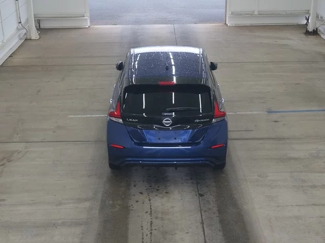 Nissan Leaf  с аукциона в Японии