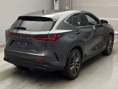 Lexus NX250