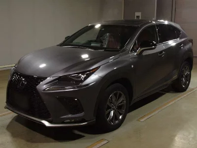 Lexus NX300h