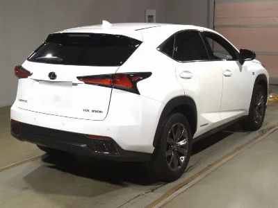 Lexus NX300h