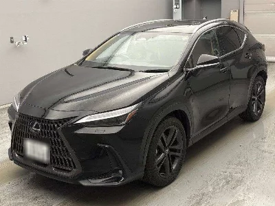 Lexus NX250